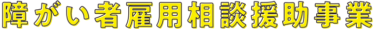 障がい者雇用相談援助事業